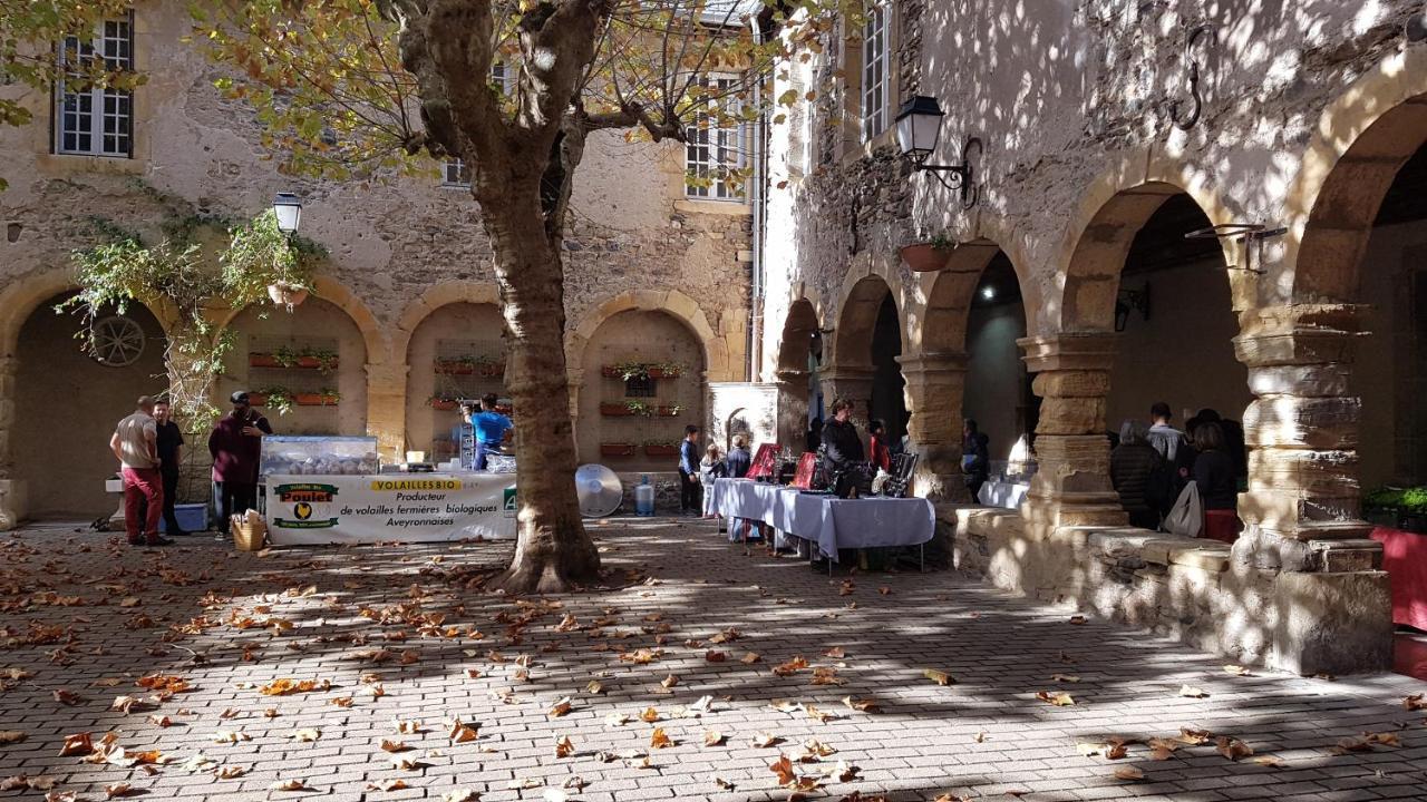 Saint-Geniez-dʼOlt Chateau Ricard المظهر الخارجي الصورة