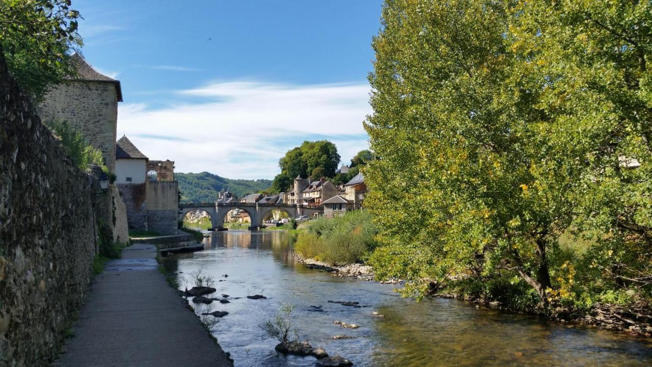 Saint-Geniez-dʼOlt Chateau Ricard المظهر الخارجي الصورة