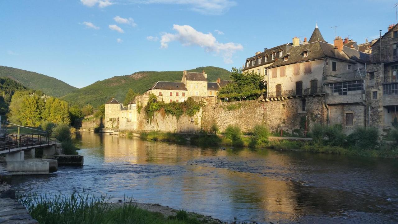 Saint-Geniez-dʼOlt Chateau Ricard المظهر الخارجي الصورة