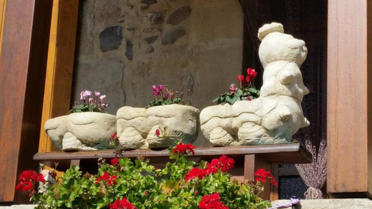 Saint-Geniez-dʼOlt Chateau Ricard المظهر الخارجي الصورة