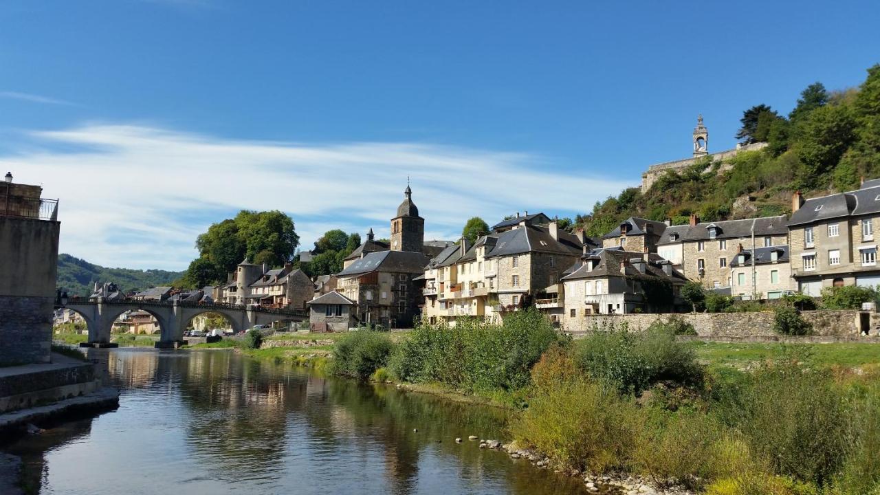 Saint-Geniez-dʼOlt Chateau Ricard المظهر الخارجي الصورة