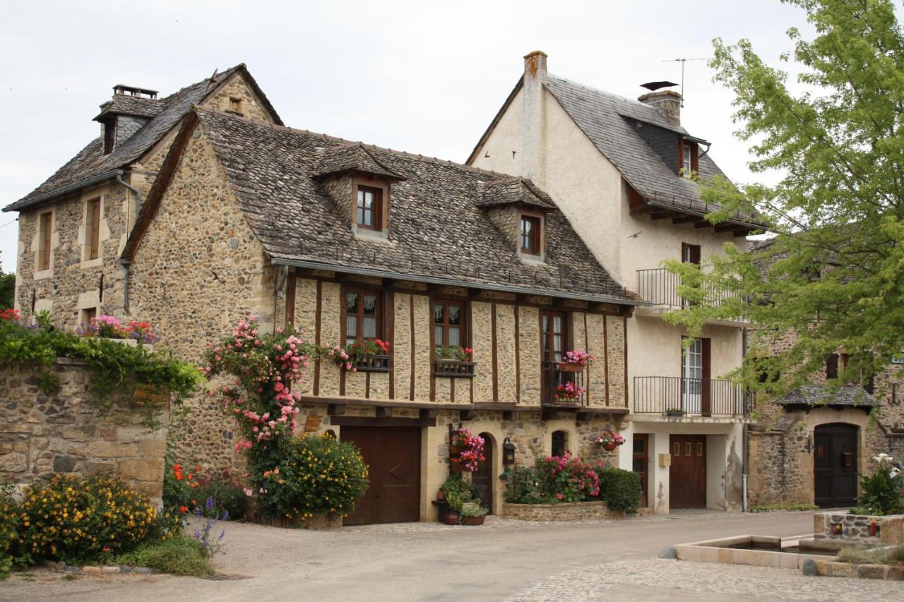 Saint-Geniez-dʼOlt Chateau Ricard المظهر الخارجي الصورة