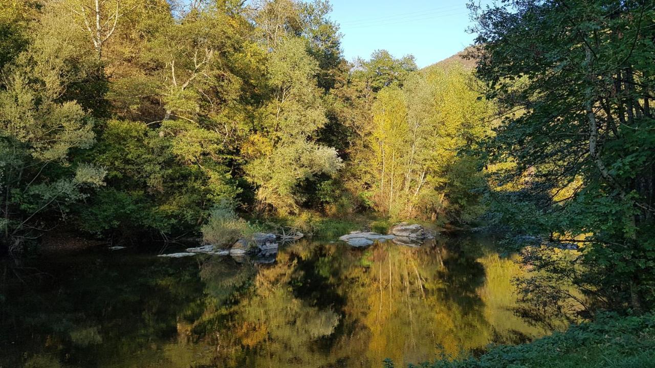 Saint-Geniez-dʼOlt Chateau Ricard المظهر الخارجي الصورة
