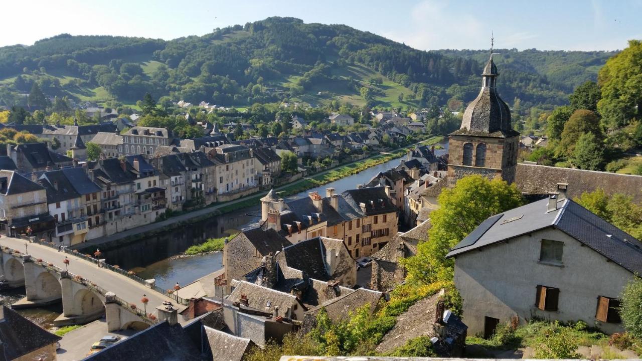 Saint-Geniez-dʼOlt Chateau Ricard المظهر الخارجي الصورة