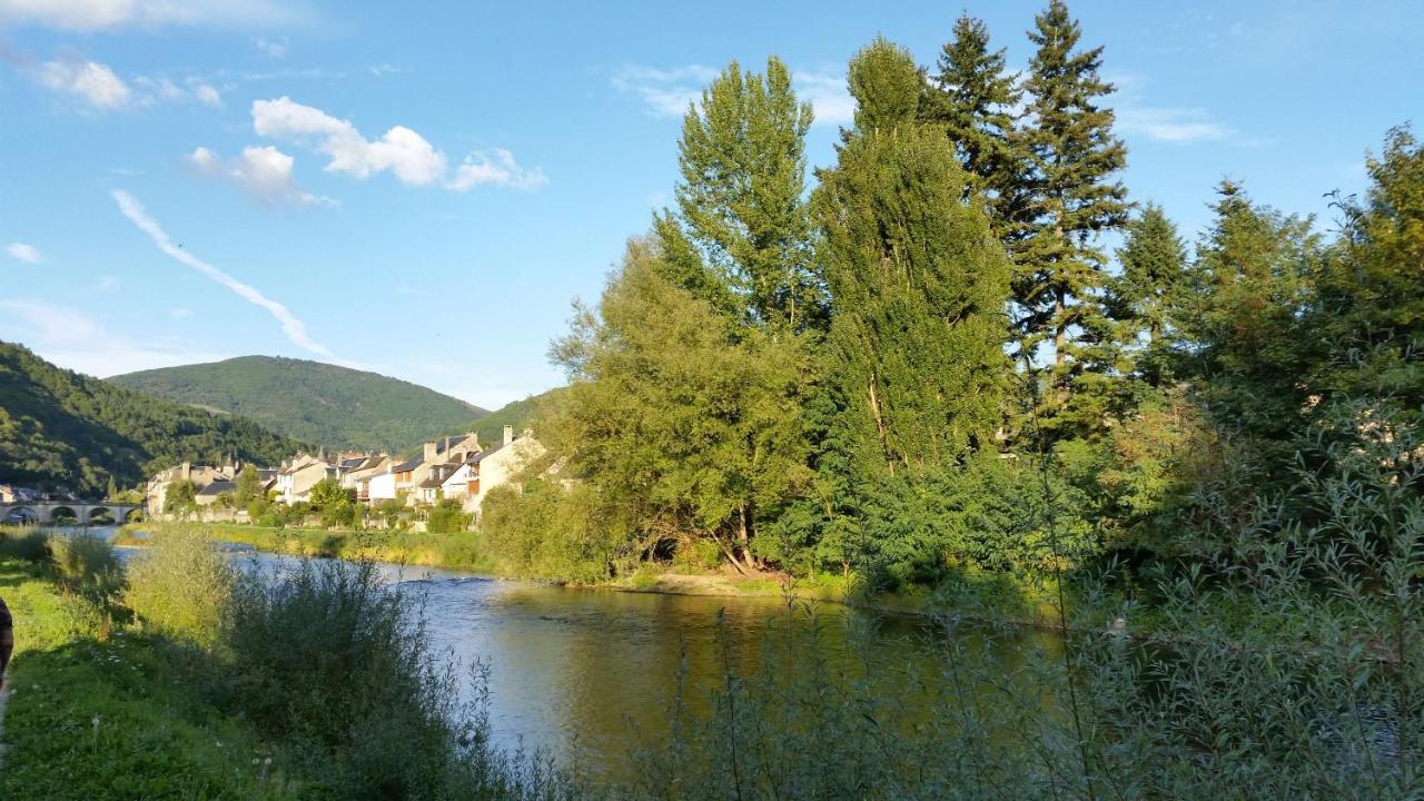 Saint-Geniez-dʼOlt Chateau Ricard المظهر الخارجي الصورة